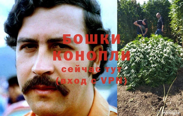 PSILOCYBIN Дмитриев