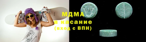 шишки Ельня