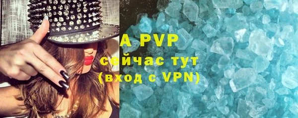 трава Магас