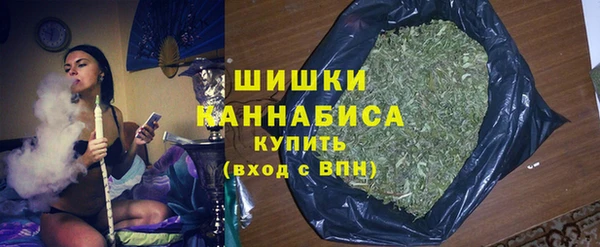 хмурый Дмитровск