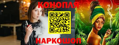 Альфа ПВП Гатчина