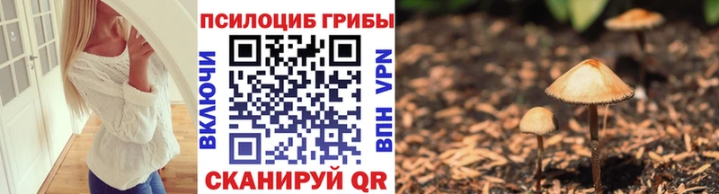Псилоцибиновые грибы Magic Shrooms  Сибай 