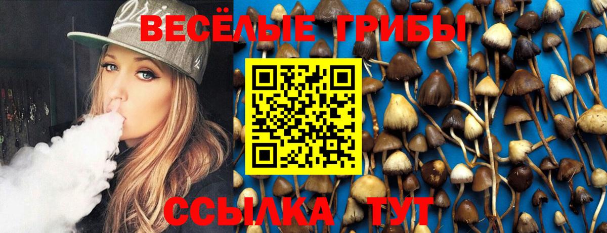 Сибай  Псилоцибиновые грибы Psilocybine cubensis  магазин продажи наркотиков  Псилоцибиновые грибы мицелий  Вход с VPN 